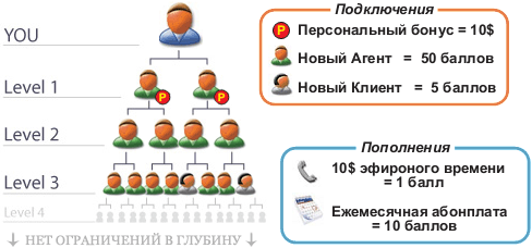 Структура в компании Kazil