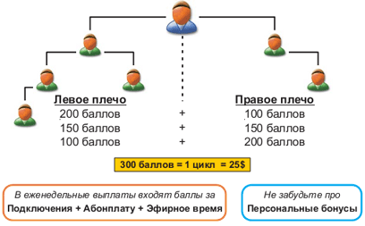 Структура в компании Kazil